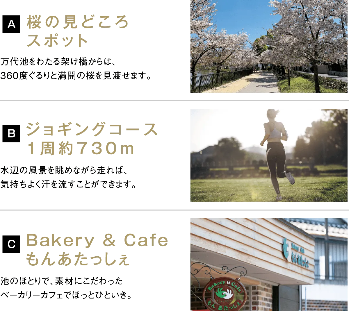 桜の見どころスポット万代池をわたる架け橋からは、360度ぐるりと満開の桜を見渡せます。ジョギングコース1周約730m水辺の風景を眺めながら走れば、気持ちよく汗を流すことができます。Bakery & Cafeもんあたっしぇ池のほとりで、素材にこだわったベーカリーカフェでほっとひといき。