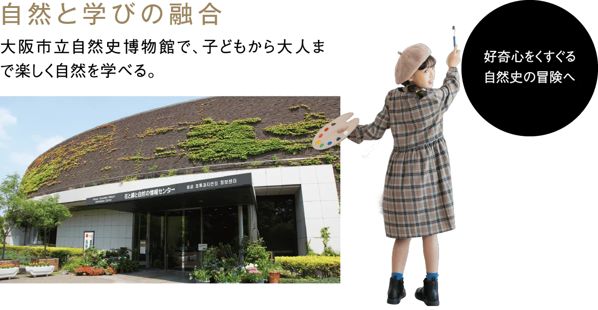 自然と学びの融合 大阪市立自然史博物館で、子どもから大人まで楽しく自然を学べる。