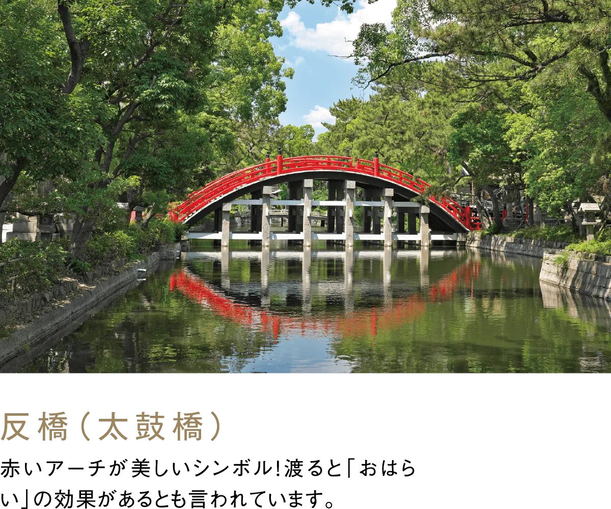 反橋（太鼓橋） 赤いアーチが美しいシンボル！渡ると「おはらい」の効果があるとも言われています。