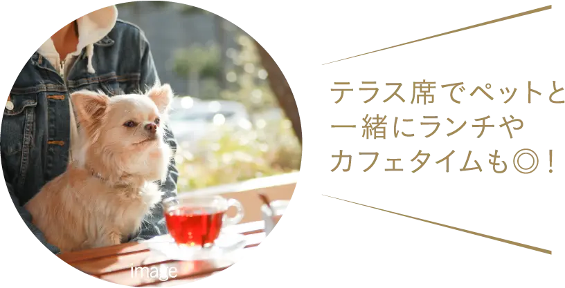 テラス席でペットと一緒にランチやカフェタイムも◎！