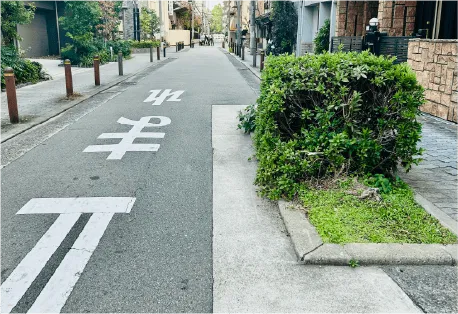道路に沿ったボンエルフ