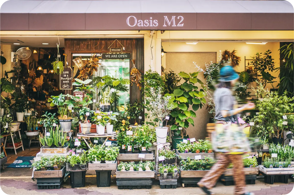 Oasis M2