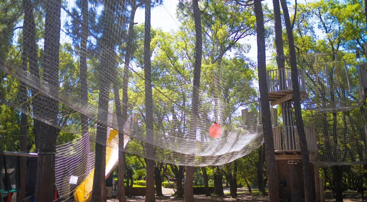 ボウケンノモリ NAGAI