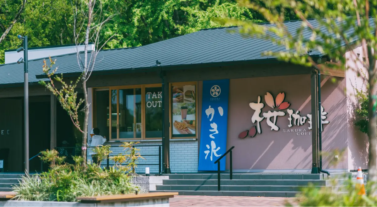 桜珈琲